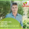 Személyes online konzultáció