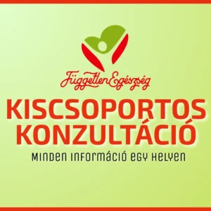 Kiscsoportos konzultáció